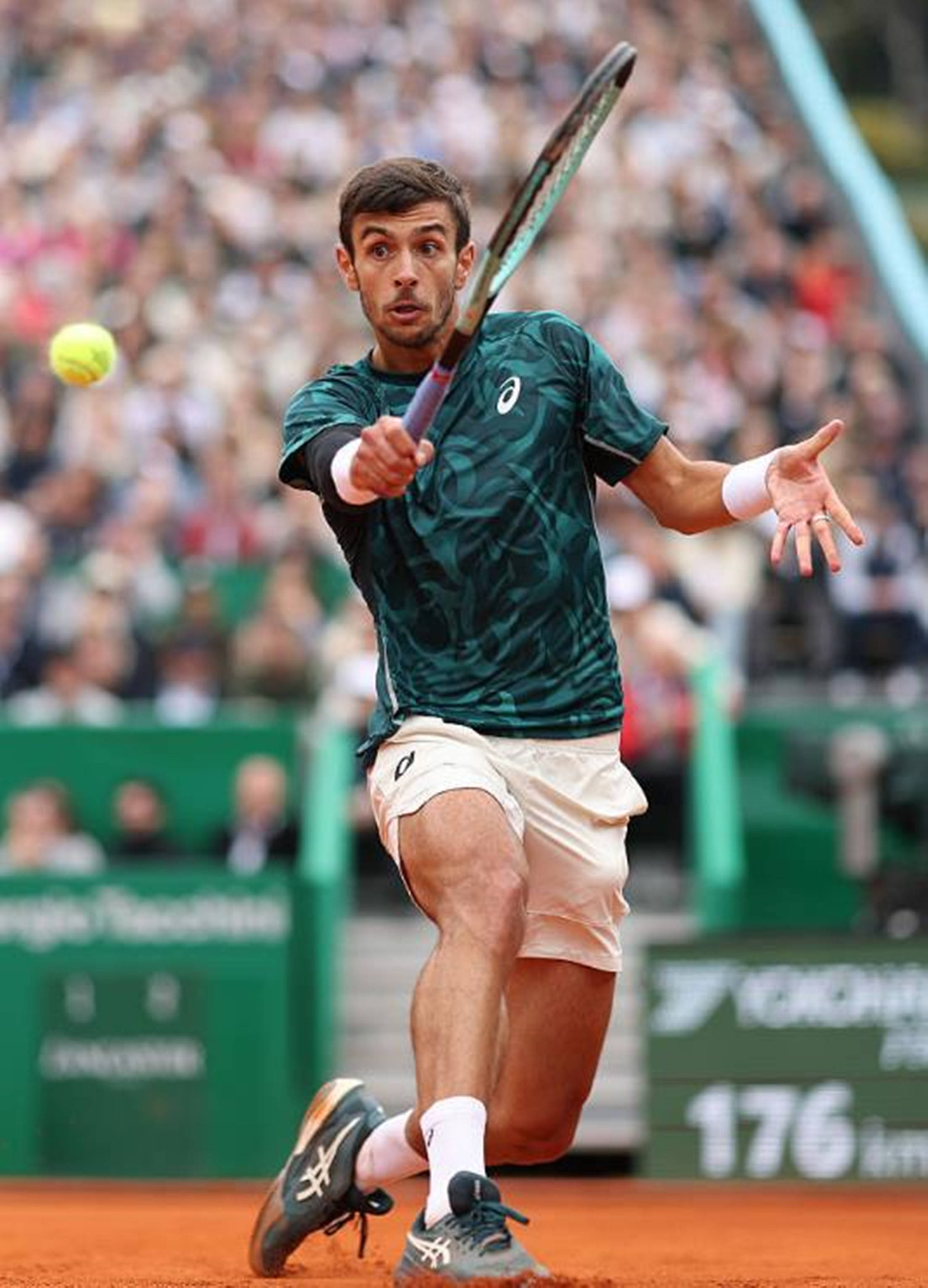 供了一个近 供了一个近