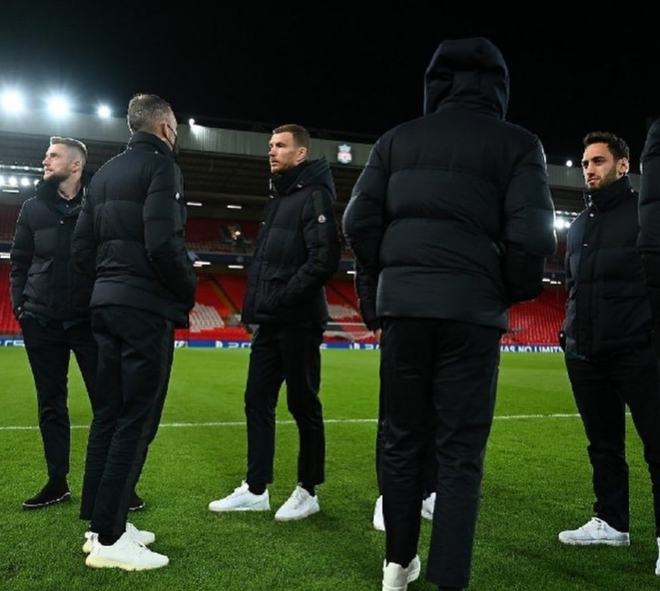 塞的长臂群 塞的长臂群